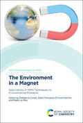 Conte / Chillura Martino / Meo |  The Environment in a Magnet | Buch |  Sack Fachmedien
