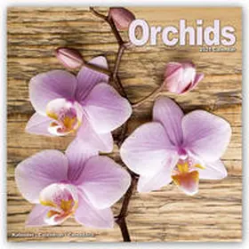 Orchids - Orchideen 2021 | Sonstiges | 978-1-83941-059-8 | www.sack.de