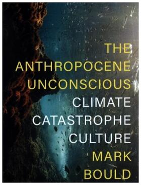 Bould |  The Anthropocene Unconscious | Buch |  Sack Fachmedien