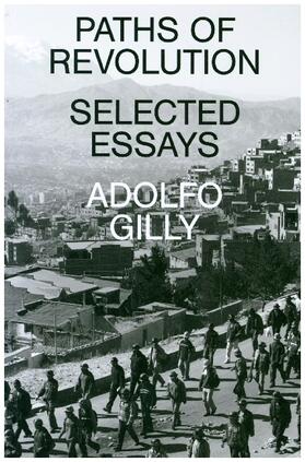 Gilly / Wood |  Paths of Revolution | Buch |  Sack Fachmedien