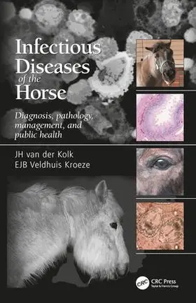 Kolk / van der Kolk / Veldhuis Kroeze |  Infectious Diseases of the Horse | Buch |  Sack Fachmedien