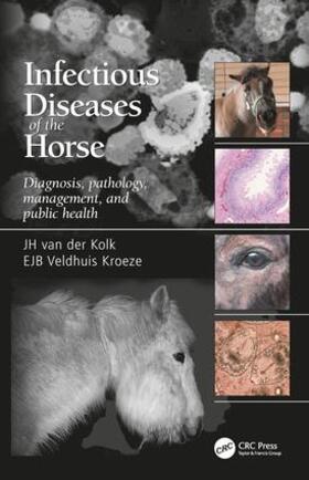 Kolk / van der Kolk / Veldhuis Kroeze | Infectious Diseases of the Horse | Buch | 978-1-84076-165-8 | sack.de
