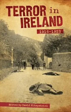 Fitzpatrick |  Terror In Ireland | eBook | Sack Fachmedien