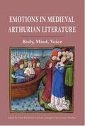 Brandsma / Larrington / Saunders |  Emotions in Medieval Arthurian Literature | Buch |  Sack Fachmedien
