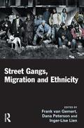 van Gemert / Peterson / Lien |  Street Gangs, Migration and Ethnicity | Buch |  Sack Fachmedien