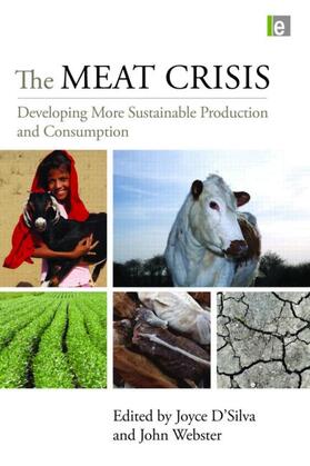 D'Silva / Webster | The Meat Crisis | Buch | 978-1-84407-902-5 | sack.de