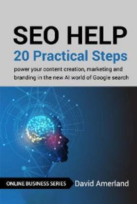 Amerland | SEO Help | E-Book | sack.de