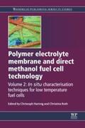 Hartnig / Roth |  Polymer Electrolyte Membrane and Direct Methanol Fuel Cell Technology | Buch |  Sack Fachmedien