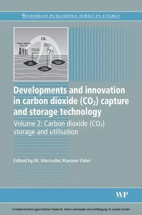 Maroto-Valer | Developments and Innovation in Carbon Dioxide (CO2) Capture and Storage Technology | E-Book | sack.de