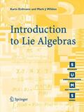 Wildon / Erdmann |  Introduction to Lie Algebras | Buch |  Sack Fachmedien