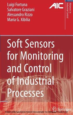Fortuna / Graziani / Rizzo | Soft Sensors for Monitoring and Control of Industrial Processes | E-Book | sack.de