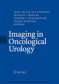 Rosette / Manyak / Harisinghani |  Imaging in Oncological Urology | eBook | Sack Fachmedien