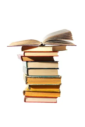 Holden |  Holden on Trust Protectors | Buch |  Sack Fachmedien