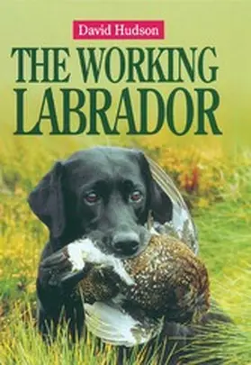 Hudson |  The Working Labrador | eBook | Sack Fachmedien