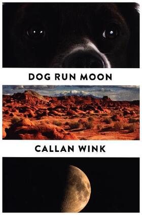 Wink |  Dog Run Moon | Buch |  Sack Fachmedien
