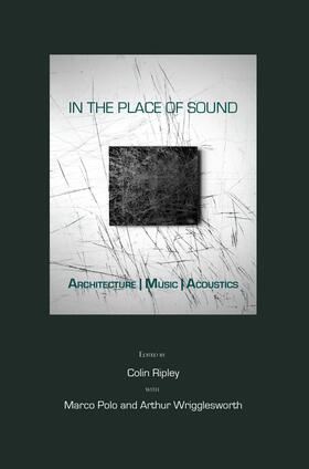Ripley / Polo / Wrigglesworth | In the Place of Sound | Buch | 978-1-84718-375-0 | sack.de