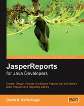 Heffelfinger / Danciu |  JasperReports for Java Developers | eBook | Sack Fachmedien