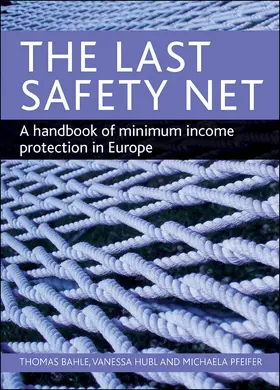 Bahle / Hubl / Pfeifer |  The last safety net | Buch |  Sack Fachmedien