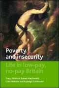 Shildrick / MacDonald / Webster |  Poverty and Insecurity | eBook | Sack Fachmedien