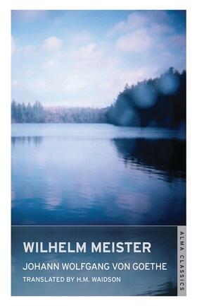  Wilhelm Meister | Buch |  Sack Fachmedien
