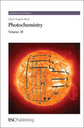 Albini |  Photochemistry | Buch |  Sack Fachmedien