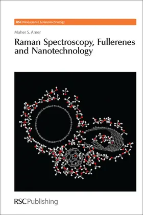Amer |  Raman Spectroscopy, Fullerenes and Nanotechnology | Buch |  Sack Fachmedien