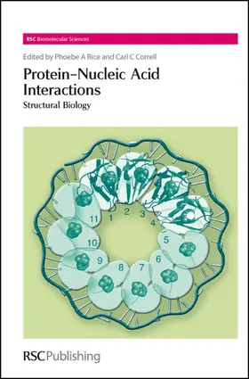 Rice / Correll |  Protein-Nucleic Acid Interactions | eBook | Sack Fachmedien