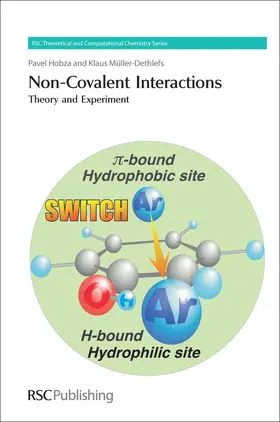 Hobza / Muller-Dethlefs |  Non-Covalent Interactions | eBook | Sack Fachmedien