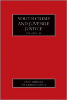Goldson / Muncie |  Youth Crime and Juvenile Justice | Buch |  Sack Fachmedien