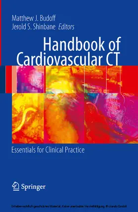Budoff / Shinbane |  Handbook of Cardiovascular CT | eBook | Sack Fachmedien