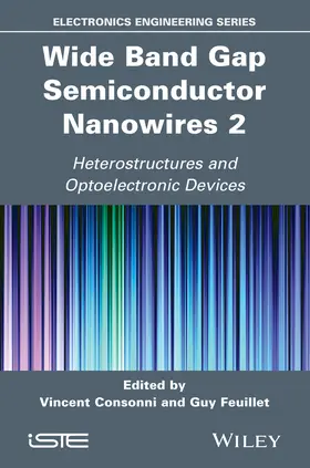 Consonni / Feuillet | Wide Band Gap Semiconductor Nanowires 2 | Buch | 978-1-84821-687-7 | www.sack.de