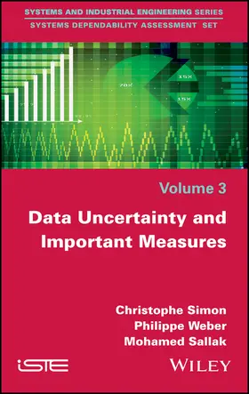 Simon / Weber / Sallak | Data Uncertainty and Important Measures | Buch | 978-1-84821-993-9 | sack.de