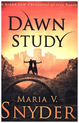 Snyder |  Dawn Study | Buch |  Sack Fachmedien