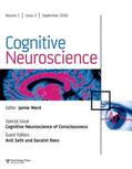 Seth / Rees |  Cognitive Neuroscience of Consciousness | Buch |  Sack Fachmedien