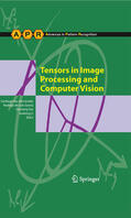 Aja-Fernández / de Luis Garcia / Tao |  Tensors in Image Processing and Computer Vision | eBook | Sack Fachmedien
