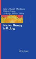 Shergill / Arya / Grange |  Medical Therapy in Urology | eBook | Sack Fachmedien