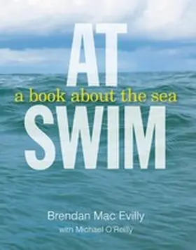 Evilly / O'Reilly |  At Swim | eBook | Sack Fachmedien