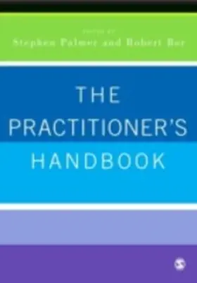 Palmer / Bor |  The Practitioner's Handbook | eBook | Sack Fachmedien
