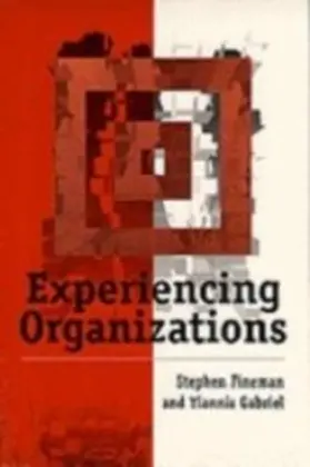 Fineman / Gabriel |  Experiencing Organizations | eBook | Sack Fachmedien