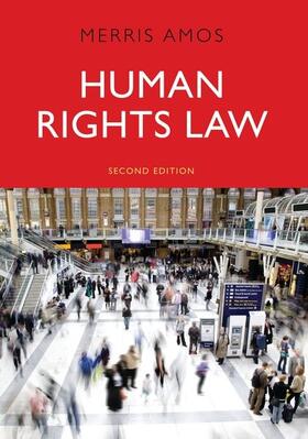 Amos | Human Rights Law | Buch | 978-1-84946-380-5 | sack.de