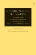 Lowe / Potter |  Understanding Legislation | Buch |  Sack Fachmedien