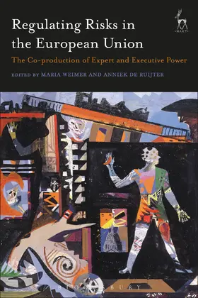 Weimer / de Ruijter |  Regulating Risks in the European Union | Buch |  Sack Fachmedien