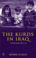 Yildiz |  The Kurds in Iraq | eBook | Sack Fachmedien