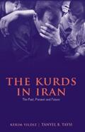 Yildiz / Taysi |  The Kurds in Iran | eBook | Sack Fachmedien