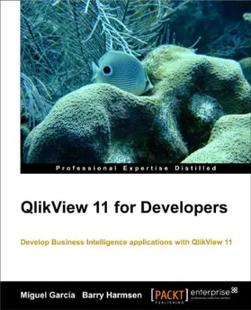 Harmsen |  QlikView 11 for Developers | eBook | Sack Fachmedien