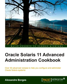 Borges |  Oracle Solaris 11 Advanced Administration Cookbook | eBook | Sack Fachmedien