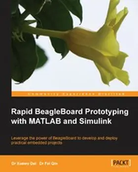 Qin / Luiz |  Rapid BeagleBoard Prototyping with MATLAB and Simulink | eBook | Sack Fachmedien