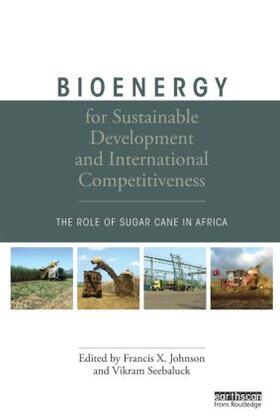 Johnson / Seebaluck | Bioenergy for Sustainable Development and International Competitiveness | Buch | 978-1-84971-103-6 | sack.de