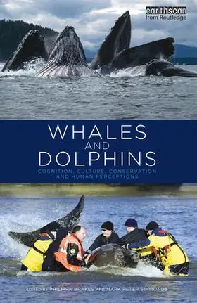 Brakes / Simmonds |  Whales and Dolphins | Buch |  Sack Fachmedien