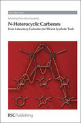 Diez-Gonzalez |  N-Heterocyclic Carbenes | Buch |  Sack Fachmedien